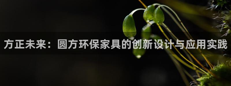 杏宇平台招商的流程：方正未来：圆方环保家具的创新设计与应用实
