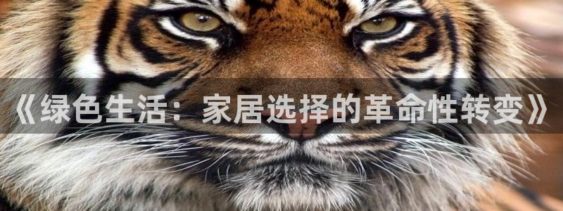 杏宇客户端登陆：《绿色生活：家居选择的革命性转变》
