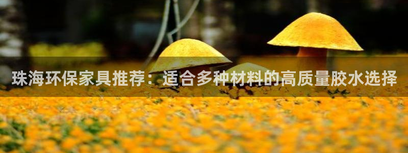 杏宇官方娱乐：珠海环保家具推荐：适合多种材料的高质量胶水选择