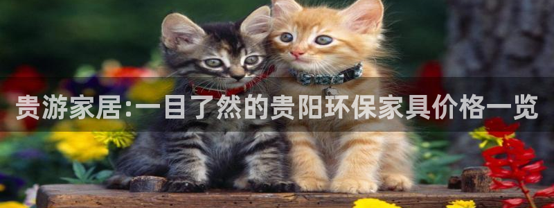 杏宇平台专用通道：贵游家居:一目了然的贵阳环保家具价格一览