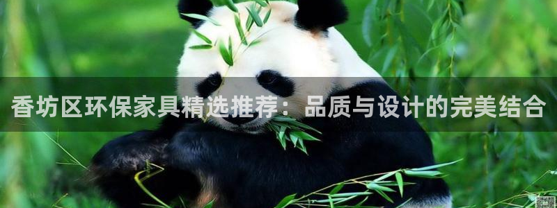 杏宇客户端登录：香坊区环保家具精选推荐：品质与设计的完美结合