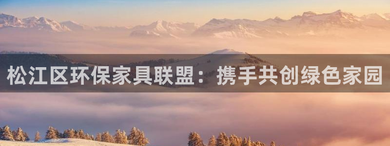 杏宇平台还在吗：松江区环保家具联盟：携手共创绿色家园