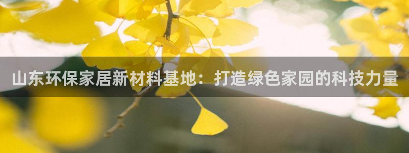 杏宇登陆线路