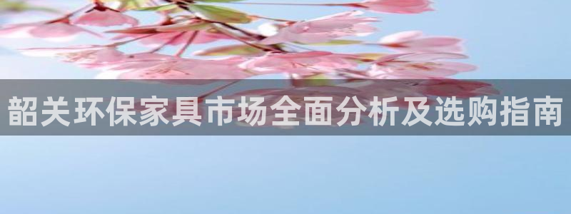 杏宇官网网站