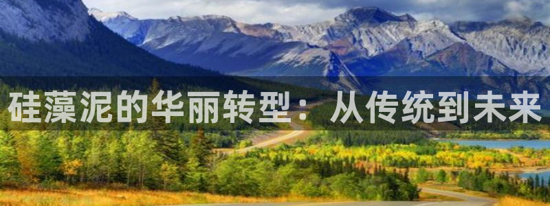 杏宇平台官方登陆：硅藻泥的华丽转型：从传统到未来