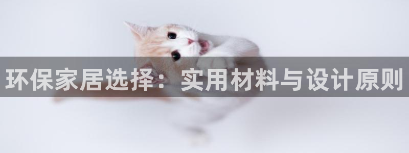 杏宇平台的专用通道